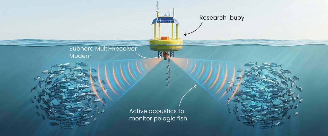Active Sonar for 3D Fish Tracking
